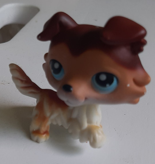 Product image 5 of 10