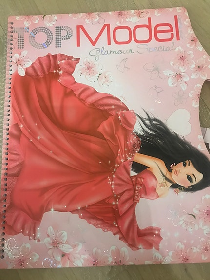 TOP Model- vihko