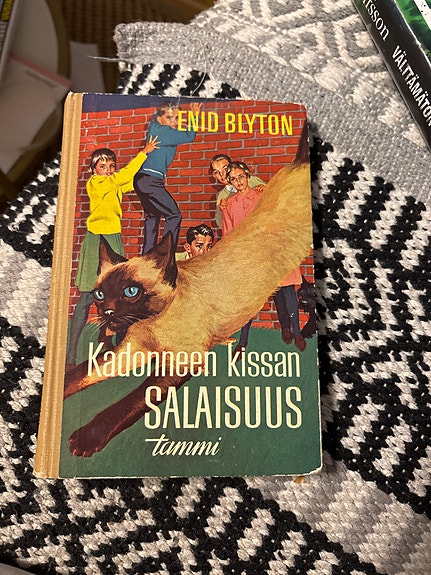 Enid Blyton Kadonneen kissan salaisuus kirja