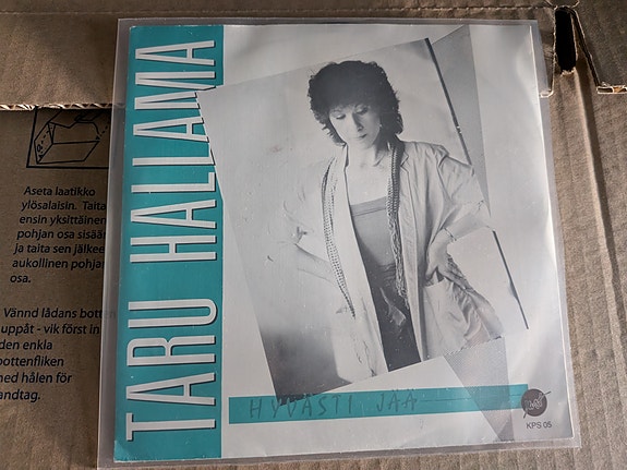 Taru Hallama Hyvästi jää/Pienet aaveet 7" 1984