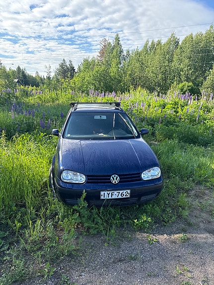 Volkswagen Golf 2000 osina