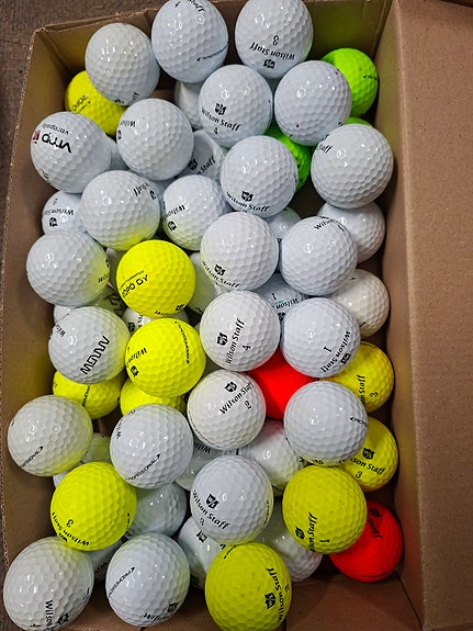 Wilson professional