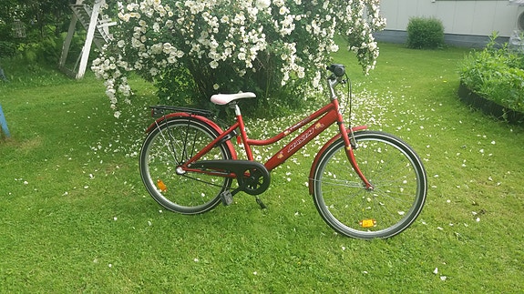 Tyttöjen polkupyörä 24