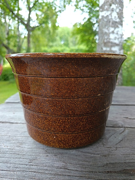 Arabian Kukkaruukku Okra halk. n.20 cm