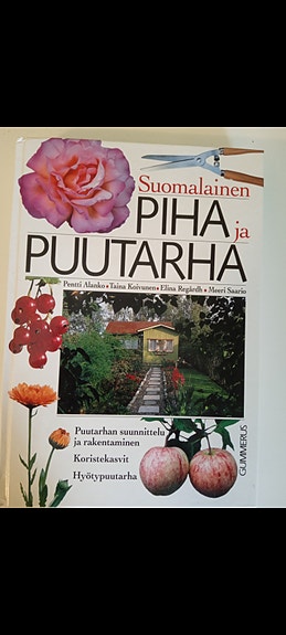 Piha ja puutarha