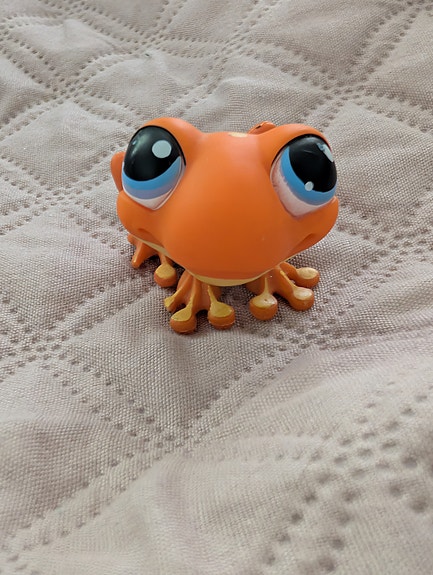 LPS-sammakko aito