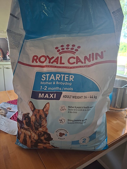 Royal Canin Maxi Starter koiranruoka emolle ja pennuille