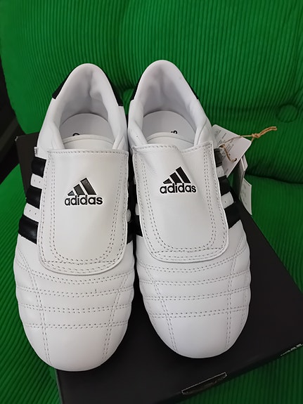 Adidas taekwondo