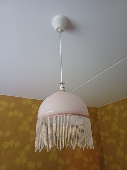 Vaaleanpunainen kattovalaisin