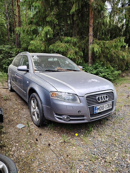 Audi A4 osina.
