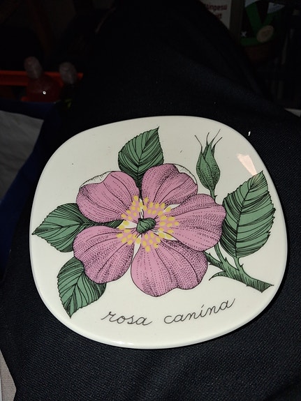 Arabia Rosa canina seinälautanen