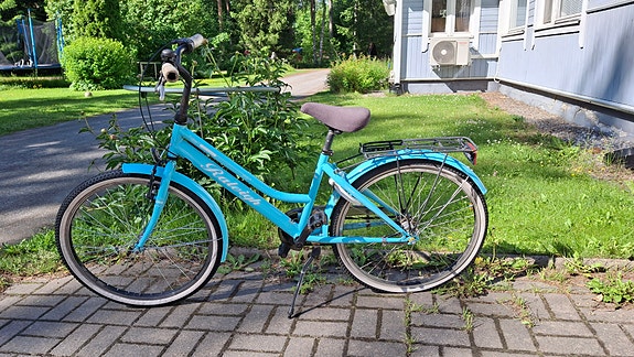 Raleigh polkypyörä
