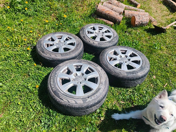 Yhden kesän ajetut Audi 16" 5x112 66.5