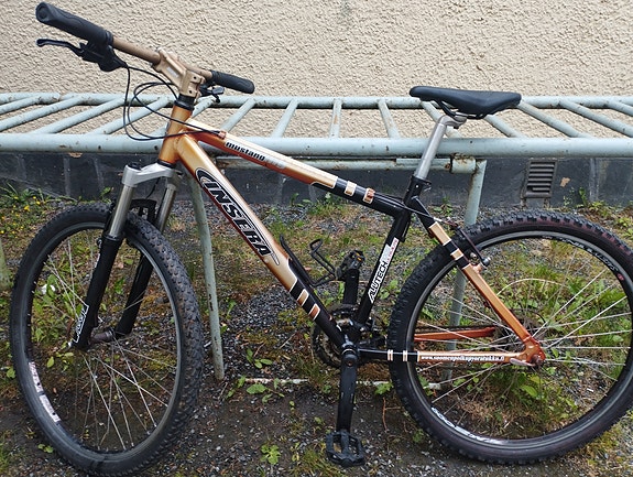 Insera MTB