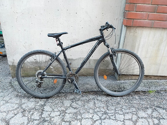 Hybrid 29"