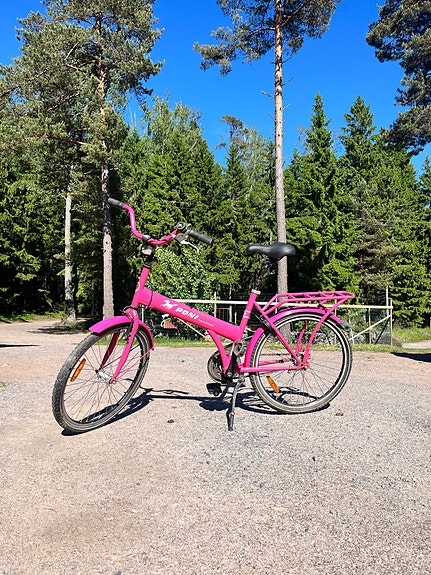 Poni tunturi pyörä