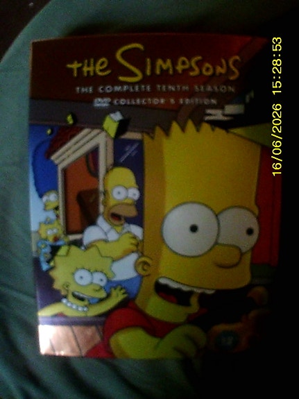The Simpsons The Complete Tenth Season DVD Collector’s Edition