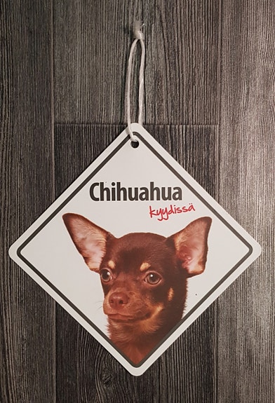 Chihuahua kyydissä kyltti.