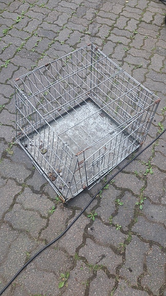 Kissan kuljetus häkki