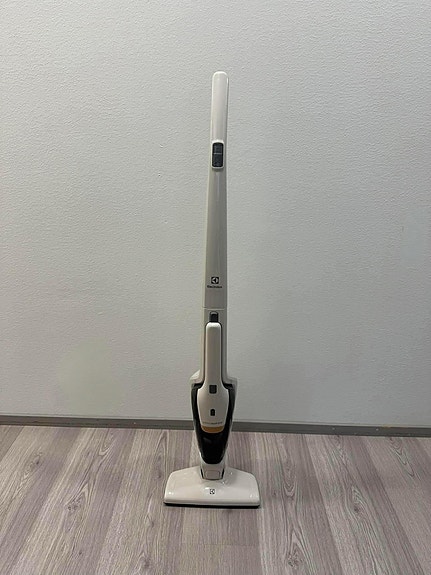 Varsi-imuri Electrolux Ergorapido