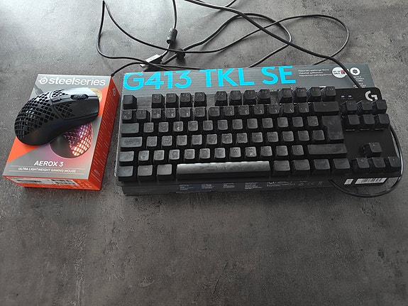 Logitech pelinäppäimistö ja Steelseries pelihiiri