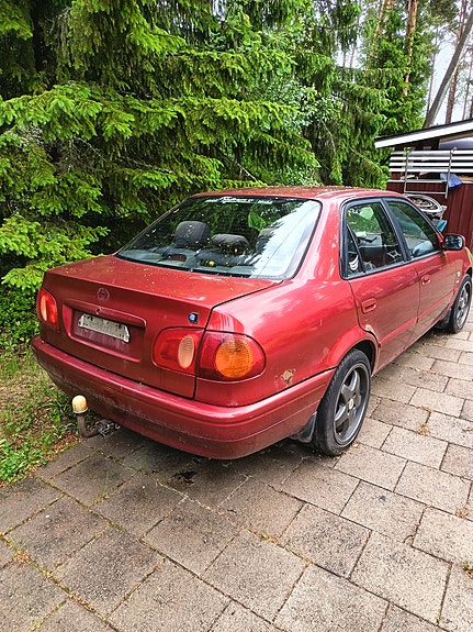 Corolla osina