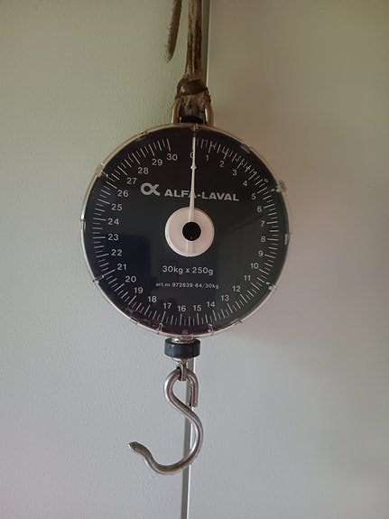 Alfa-Laval mekaaninen riippuvaaka 20 kg