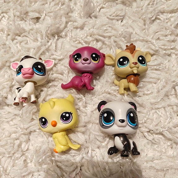 Little pet shop