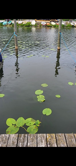 Venepaikka Lahti