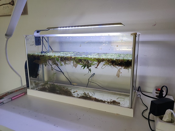 Fluval akvaario