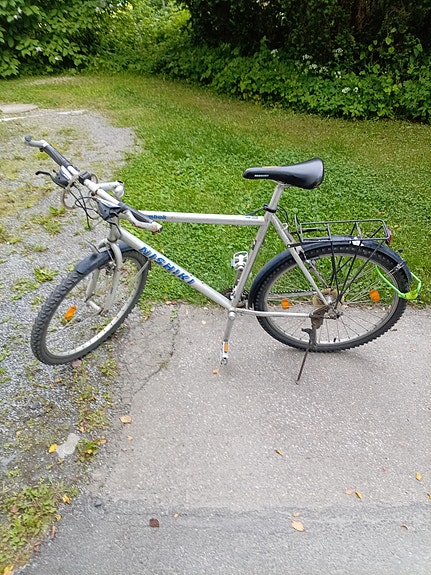 nishiki
