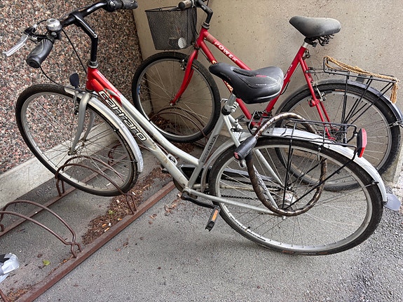 Carraro naisten pyörä 7v
