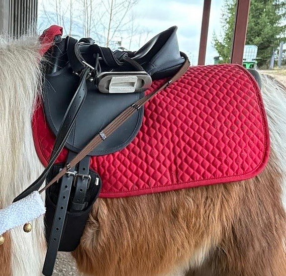 Wintec Kids satula musta hyväkuntoinen