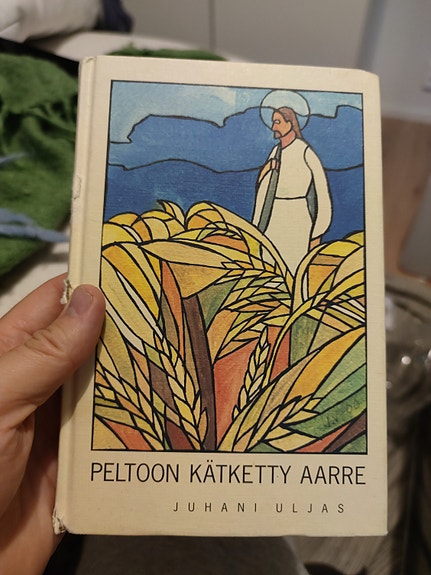 Peltoon kätketty aarre -kirja