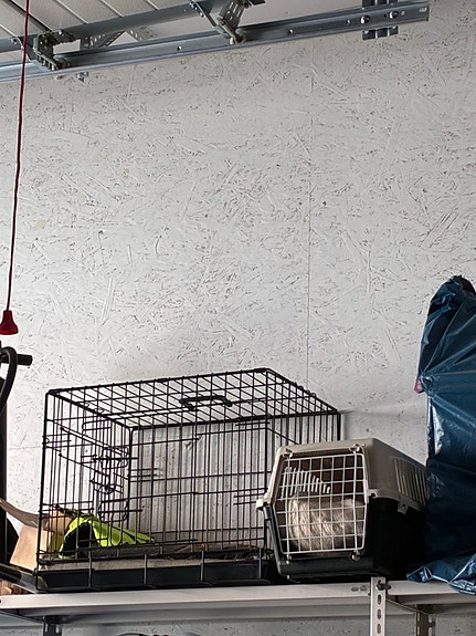 Metallihäkki ja muovinen kuljetusboksi lemmikille