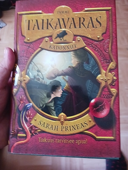 Sarah Prineas Taikavaras Kadonnut - kirja