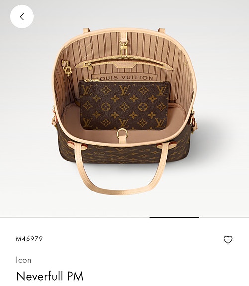Louis Vuitton Neverfull pm