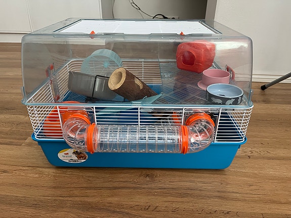 Hamsterin häkki