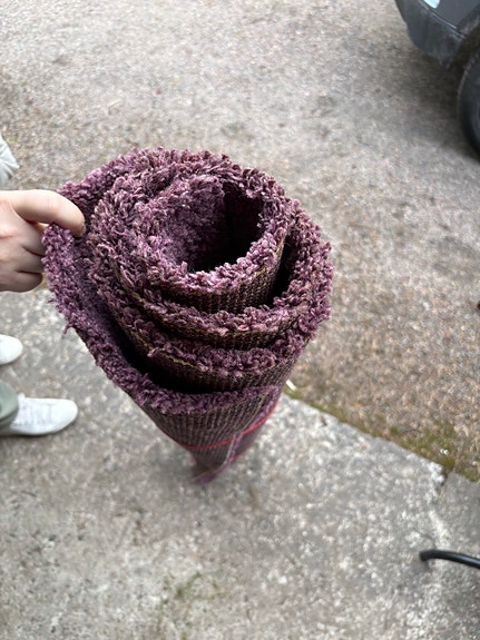 Violetti matto