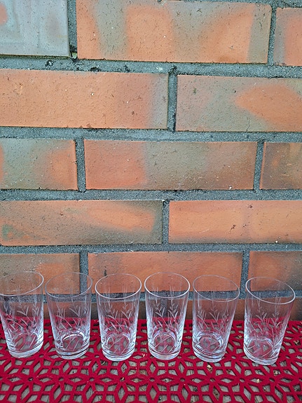 Karhula-Iittala Kukkahovi lasit 6kpl Göran Hongell