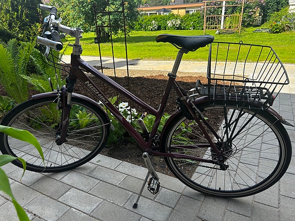 Nishiki hybrid