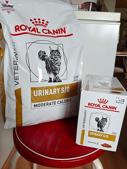 Royal Canin Urinary S/O Moderate Calorie kissanruoka