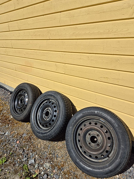 Kesärenkaita