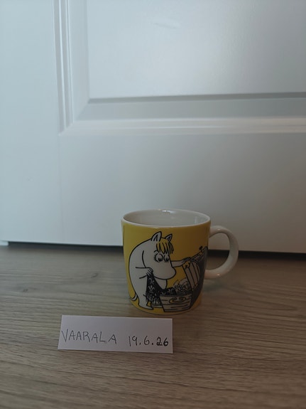 Niiskuneiti ja aarrearkku, keltainen