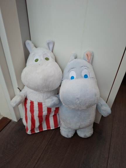Muumipeikko ja Muumimamma