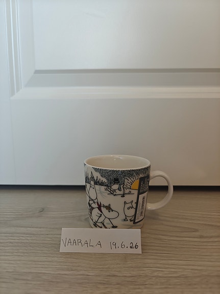 Hiihtäen kera herra Virkkunen