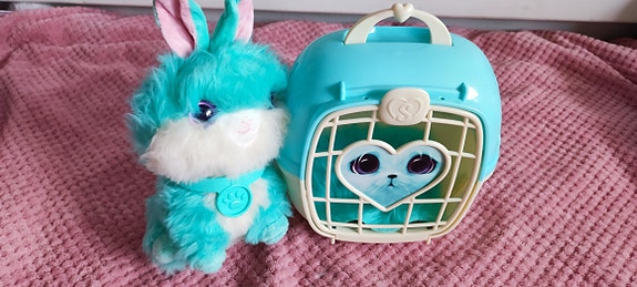 Pupu