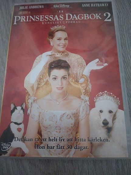 Prinsessan päiväkirjat 2