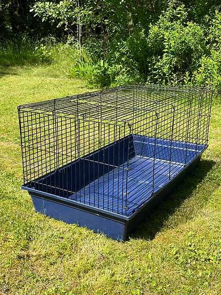Häkki