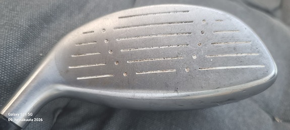 Cobra hybridi